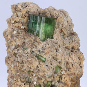 Brazil Green Tourmaline Crystal in Matrix Mineral Specimen