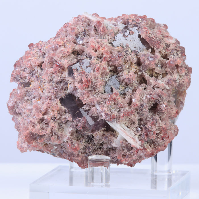 Lepidolite included quartz crystals