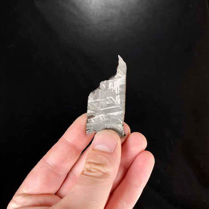 Muonionalusta Meteorite Slice