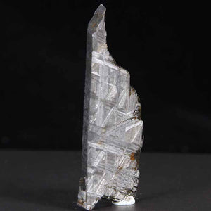 Muonionalusta Meteorite Slice