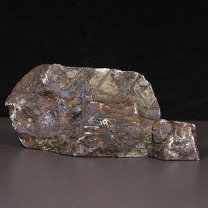Raw Natural Muonionalusta Meteorite Etched