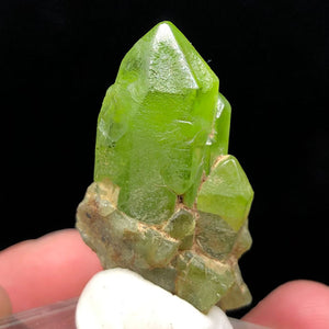 61.35ct Luscious Green Peridot Crystal Cluster