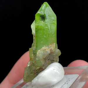 61.35ct Luscious Green Peridot Crystal Cluster
