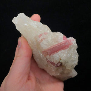 Pink Tourmaline Crystals on Quartz