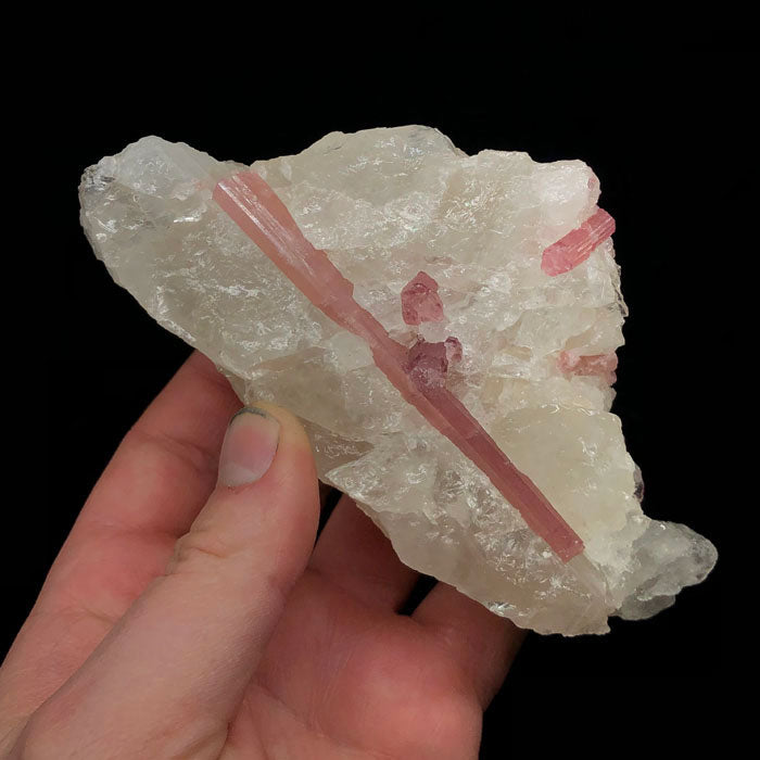 Pink Tourmaline on matrix specimen