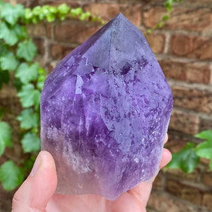 Bolivian Amethyst Crystal Point Scepter Raw Natural