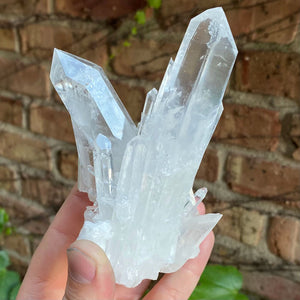 Clear Quartz Crystals Natural Termination Specimen