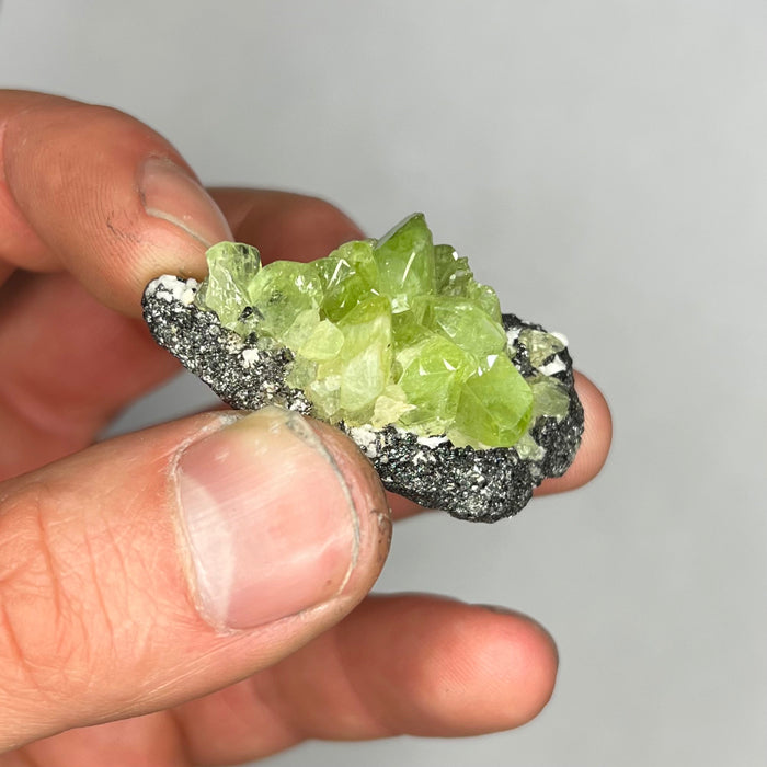 Diopside Crystal Specimen on Host Rock Graphite