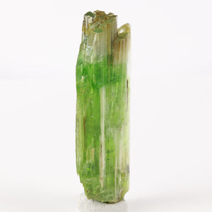 Green Tremolite Crystal Mineral Specimen