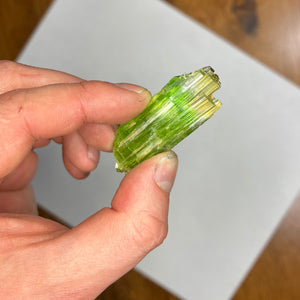 Green Bicolor Tremolite Crystal Specimen Tanzania