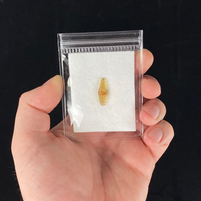 Sapphire Crystal for Sale