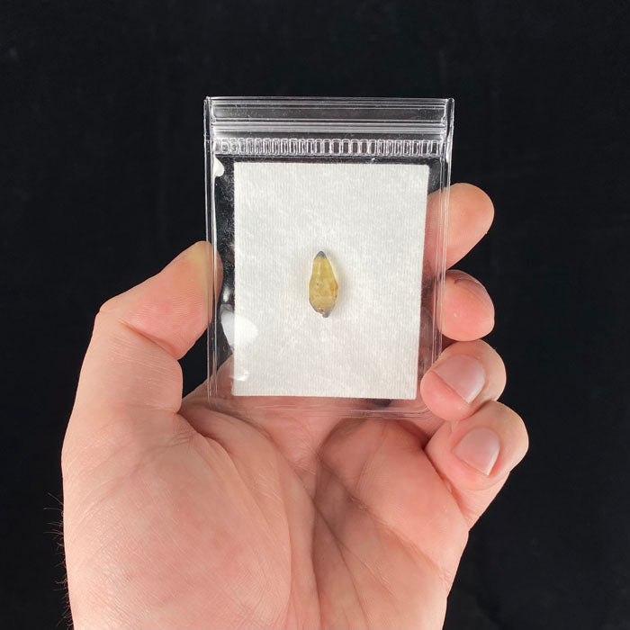 Sapphire Crystal for Sale