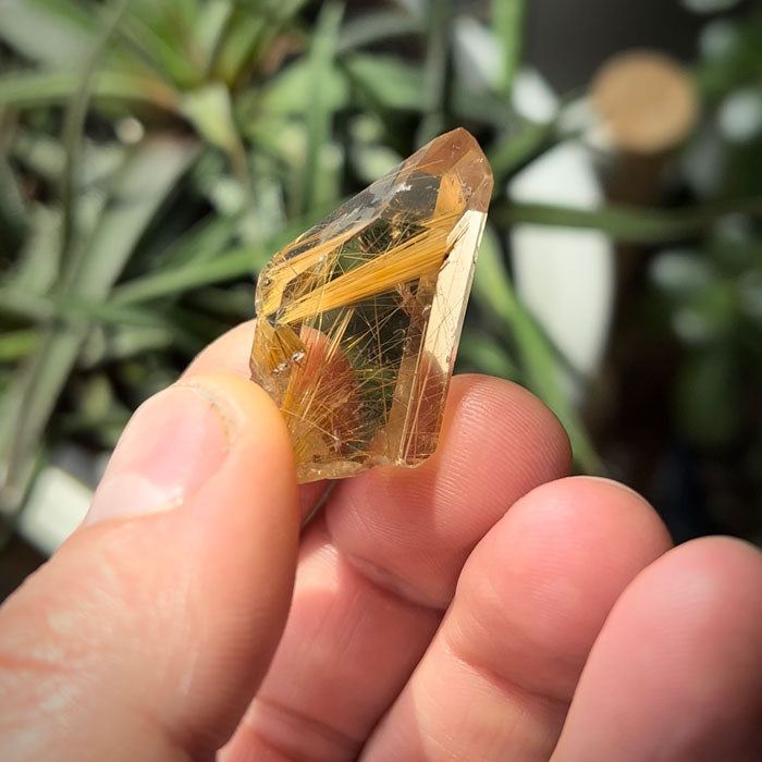 Novo Horizonte Rutilated Quartz Crystal