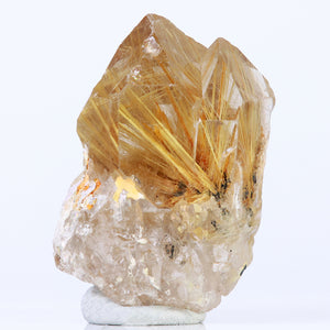 Rutile in Quartz Crystal Mineral Specimen Brazil