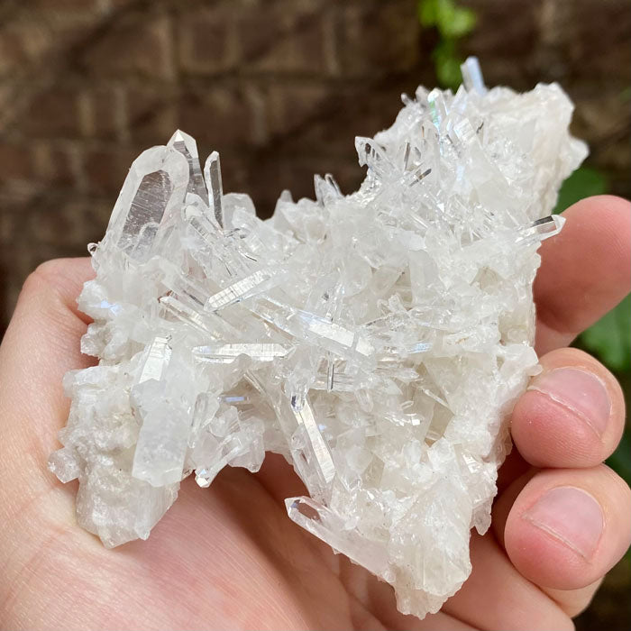 Cluster of Small Fine Quartz Crystals from Colombia - Mineral Mike