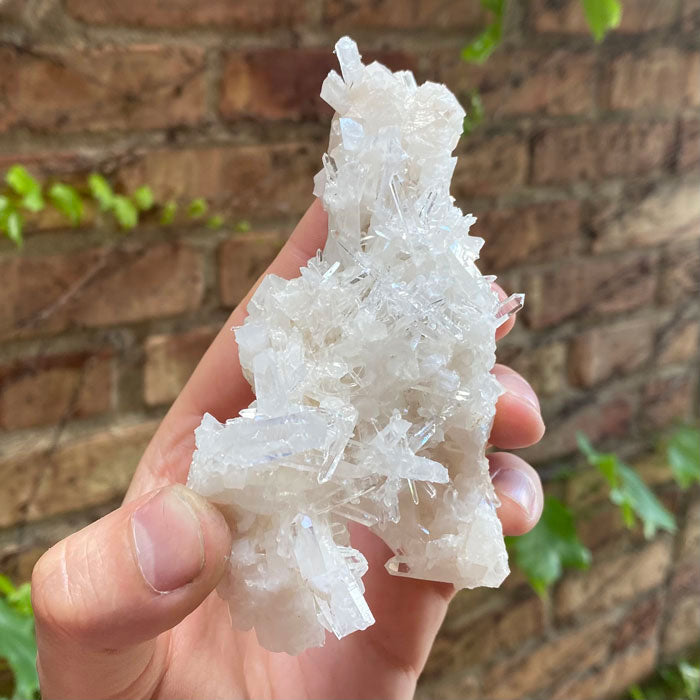 Quartz Crystal Cluster