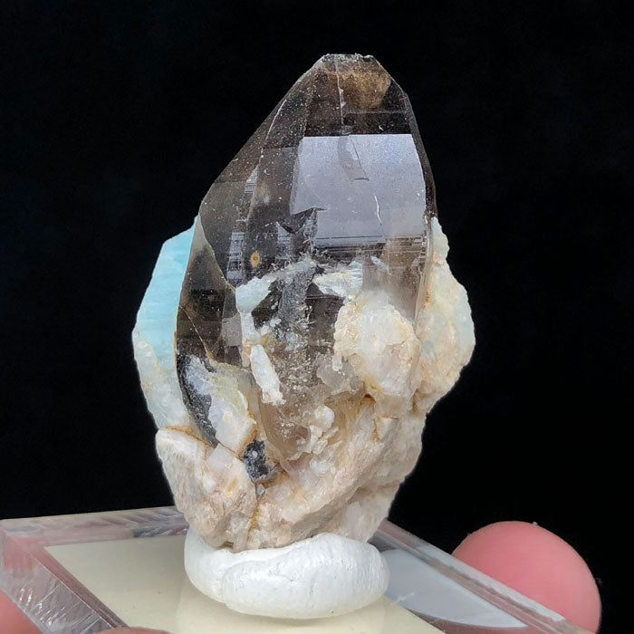 Smokey Quartz on Amazonite from Colorado