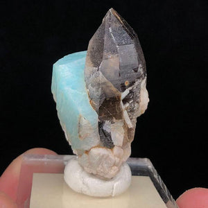 Smokey Quartz on Amazonite Crystal Mineral Specimen
