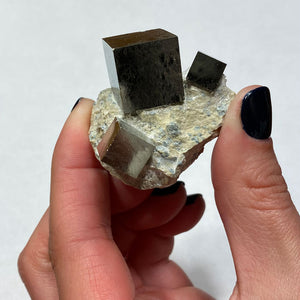 Pyrite mineral speicmens