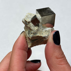Pyrite Crystal Specimen Raw