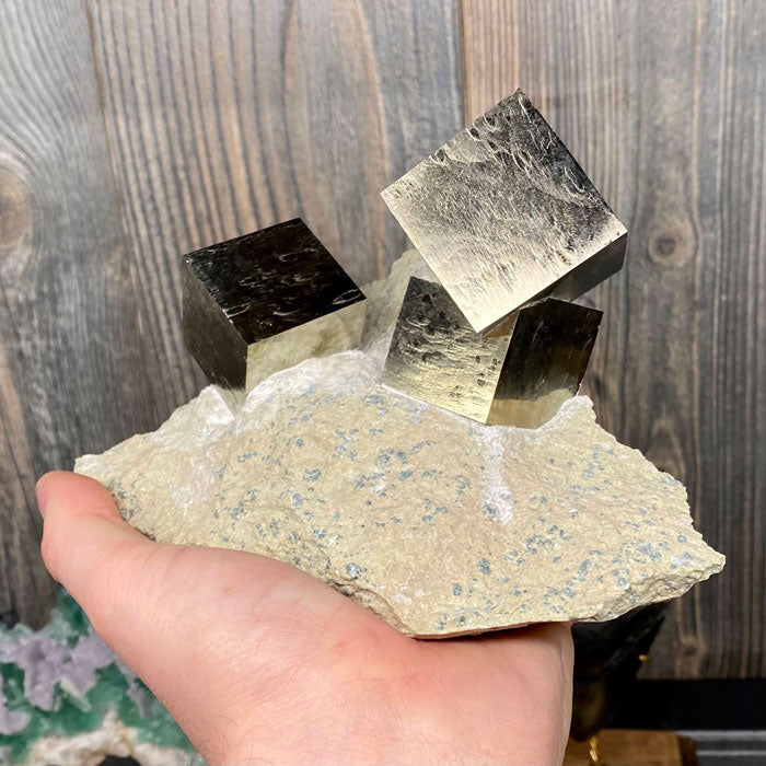 Large Pyrite Cubes on Matrix from Spain Crystal Mineral Specimen