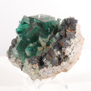 Fluorite and Galena Mineral Specimen Green England