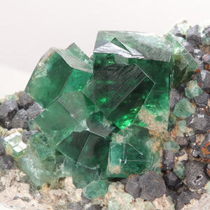 Green Diana Maria Rogerley Fluorite Mineral Specimen