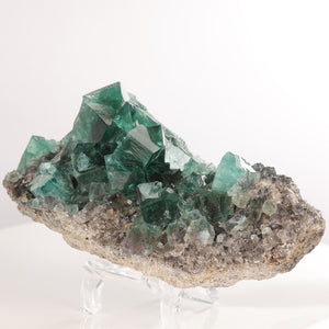 Fluorite from the diana maria mine in rogerley england