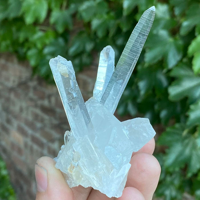 Long thin Quartz Crystal Cluster