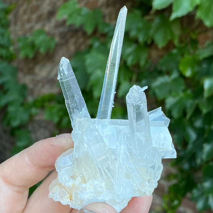 Long Sharp Quartz Crystals Colombia Mineral Specimen