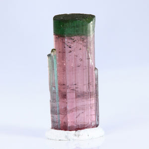 Raw Natural Brazil Tourmaline bicolor Crystal