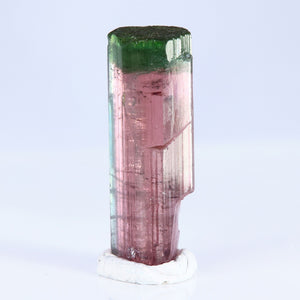 Bi Color Tourmaline Crystal Mineral Specimen