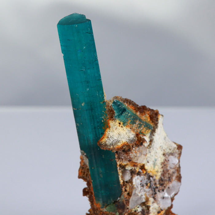 Tourmaline Crystal on Host Rock Mineral Specimen Brazil