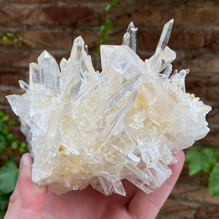 Spikey Sharp Clear Quartz Crystal Cluster Colombia