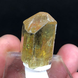 16g Gemmy Yellow Apatite Crystal