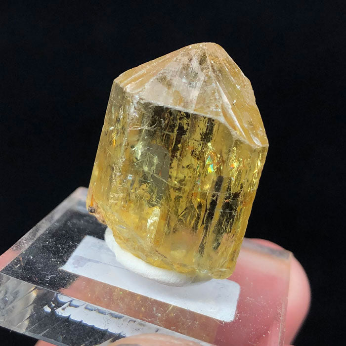 16g Gemmy Yellow Apatite Crystal - Main Image