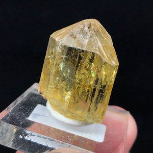 Apatite crystal mineral specimen Durango Mexico