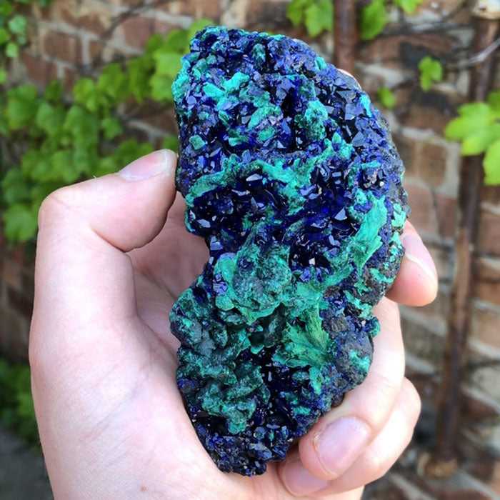 &lt;iframe width=&quot;560&quot; height=&quot;315&quot; src=&quot;https://www.youtube.com/embed/c6q2KCG1Sr4&quot; frameborder=&quot;0&quot; allow=&quot;accelerometer; autoplay; encrypted-media; gyroscope; picture-in-picture&quot; allowfullscreen&gt;&lt;/iframe&gt;