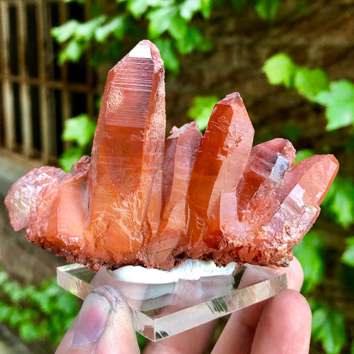 Hematite included Quartz from Morocco