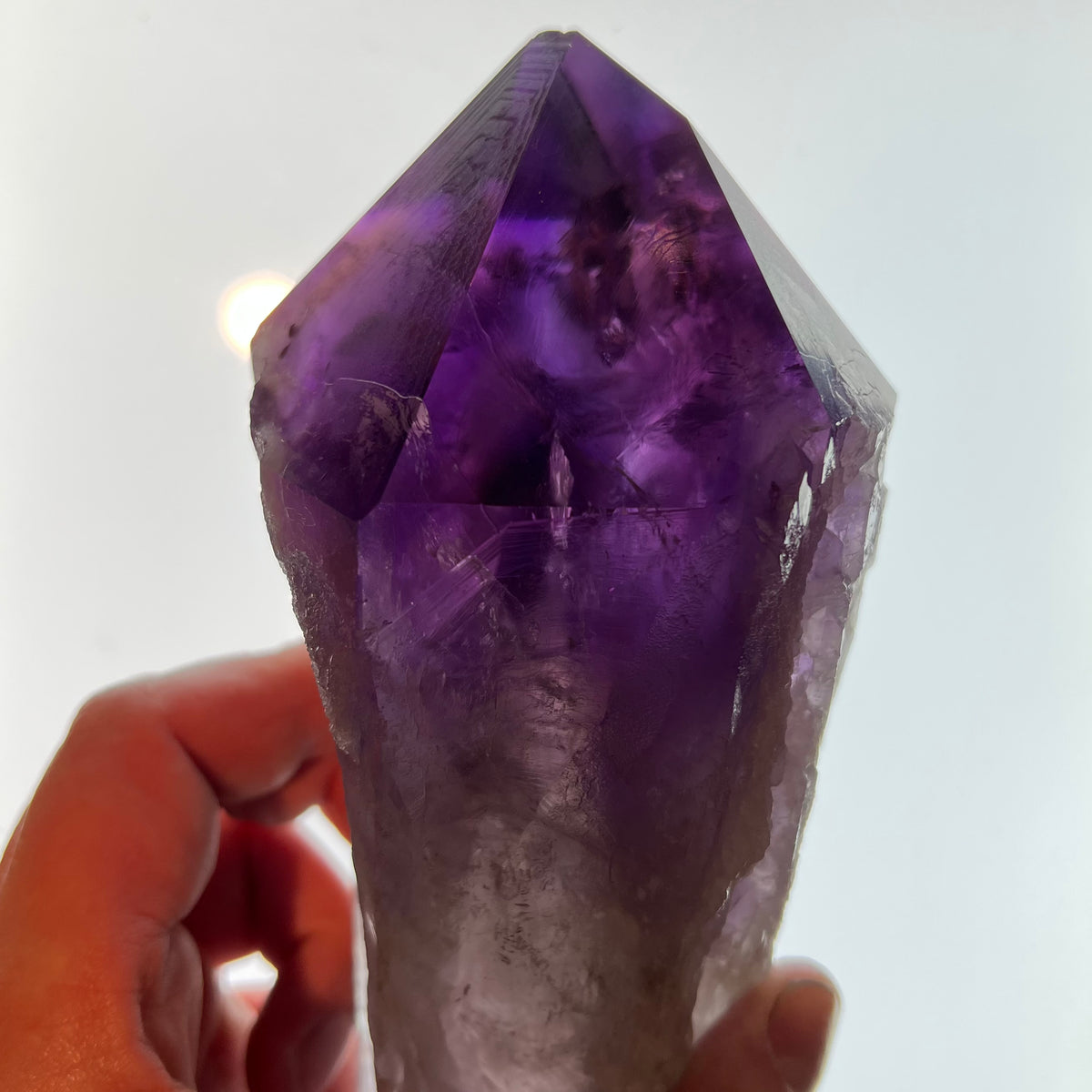 Deep Purple Amethyst Root Scepter from Bahia, Brazil