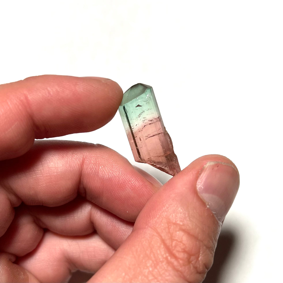 24.3ct Bi-Color Congo Tourmaline Crystal